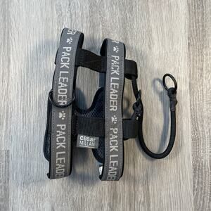 Cesar Millan Pack Leader Dog Harness Vest Grey Mesh Padded Training Medium